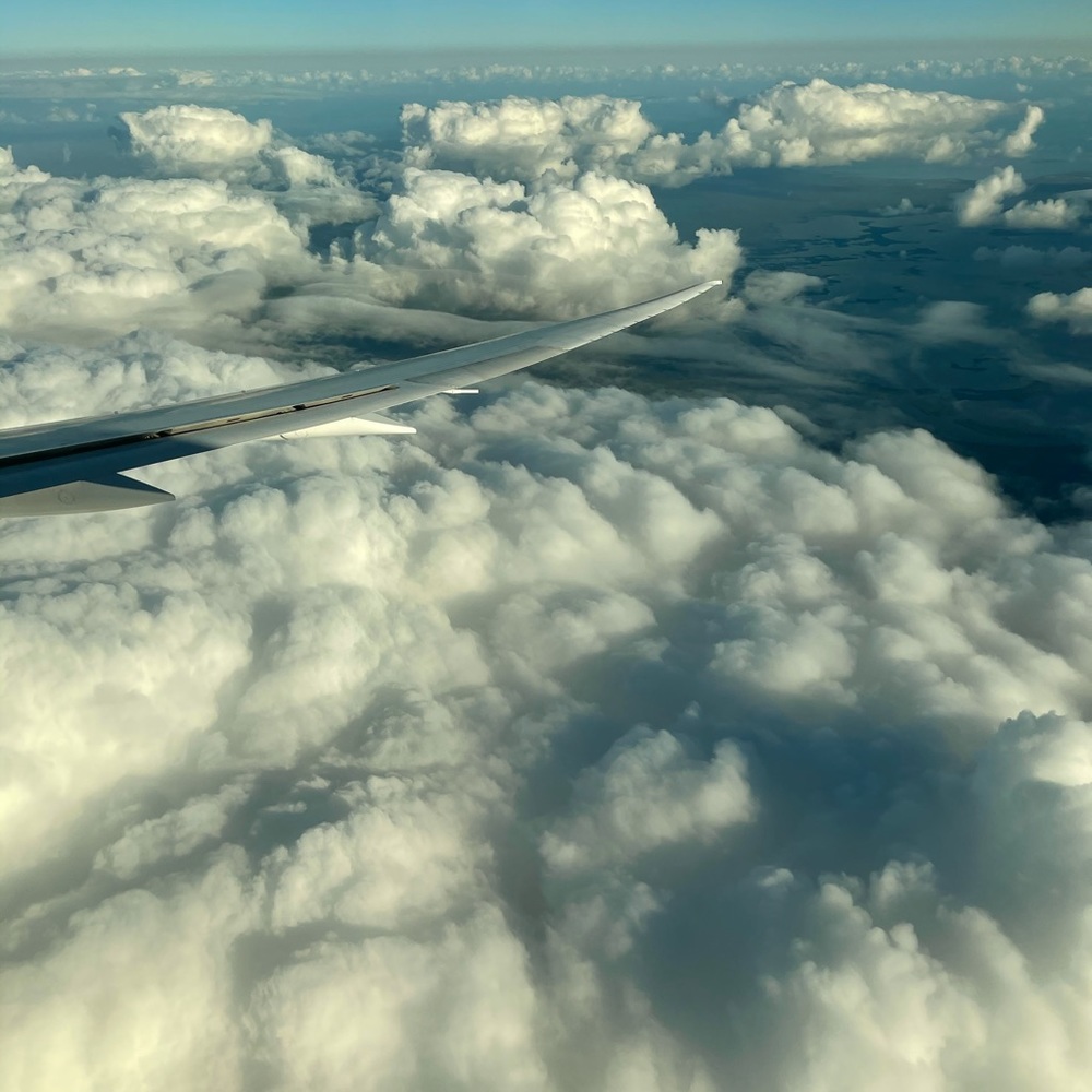 Meet your Posher, Claudia